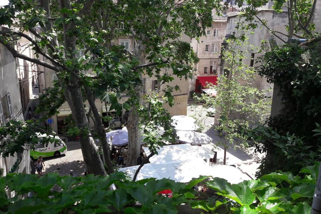 Apartament Renove, Vue Sur Palais Des Papes, Terrasse Et Wifi Troisieme Etage Awinion Zewnętrze zdjęcie